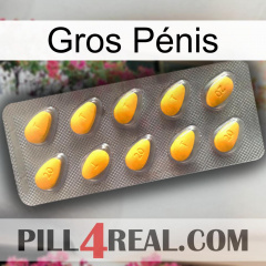 Gros Pénis cialis1